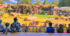 Family Attraction in Melaka Perfect for School Holiday (Zoo Melaka)