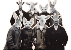 a group of escape game players with animal head
